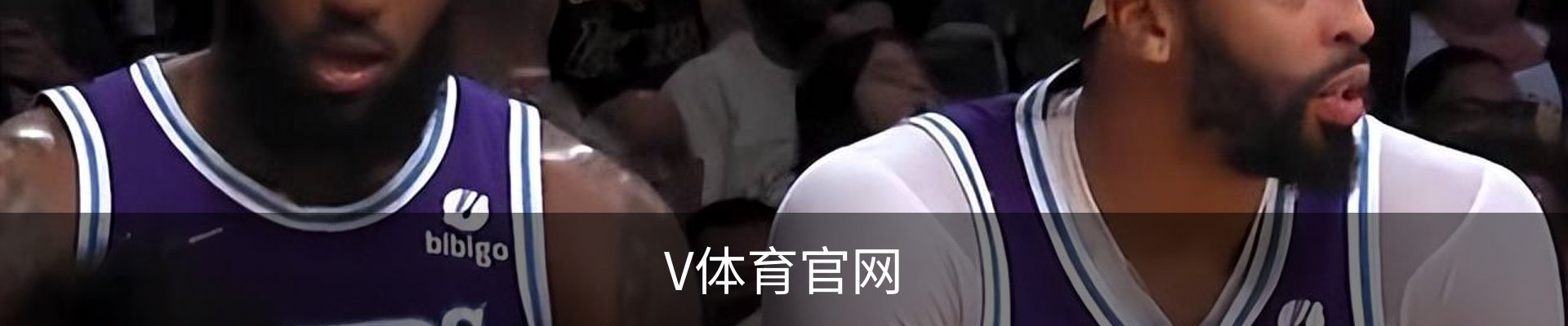 V体育官网